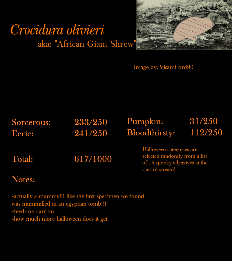 Crocidura olivieri